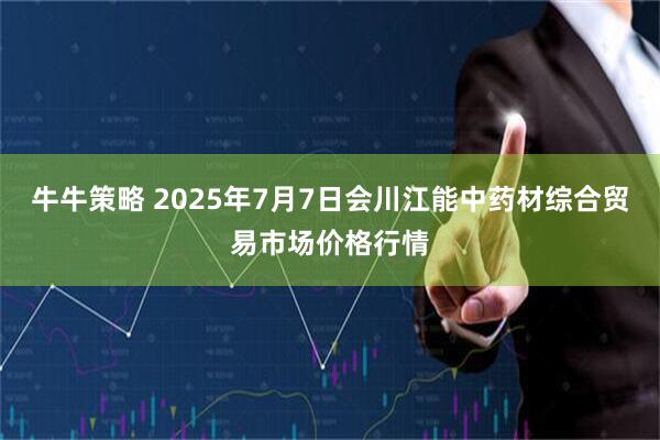 牛牛策略 2025年7月7日会川江能中药材综合贸易市场价格行情