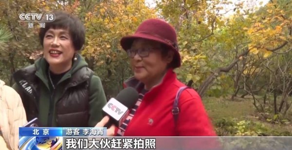 智赢策略 赏秋时节 “捡秋”有度才能留住秋日好时光